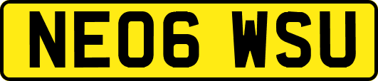 NE06WSU