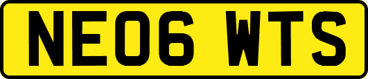 NE06WTS