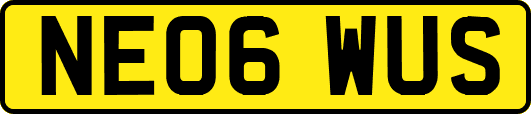 NE06WUS