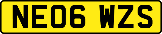NE06WZS