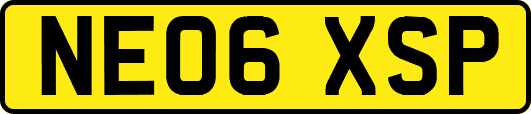NE06XSP