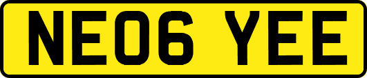 NE06YEE