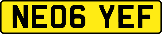 NE06YEF