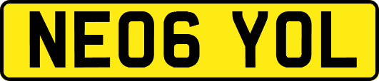 NE06YOL