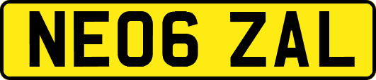NE06ZAL