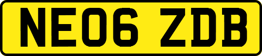 NE06ZDB