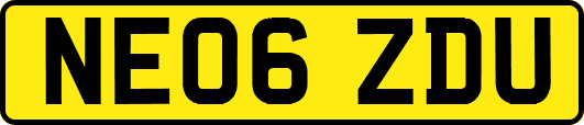 NE06ZDU
