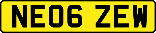 NE06ZEW