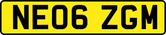 NE06ZGM