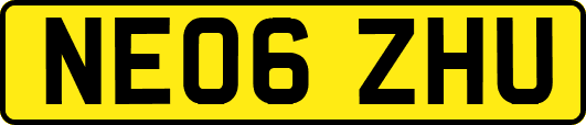 NE06ZHU