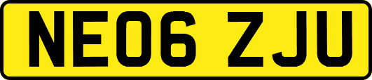 NE06ZJU