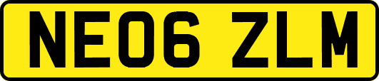 NE06ZLM
