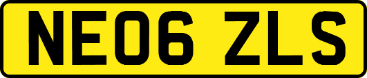 NE06ZLS