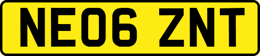 NE06ZNT