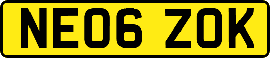 NE06ZOK