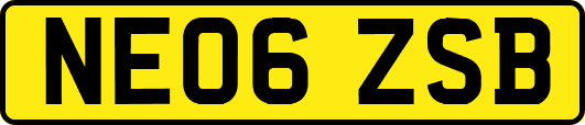 NE06ZSB