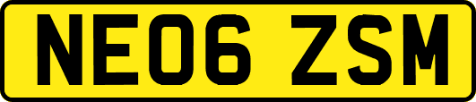 NE06ZSM
