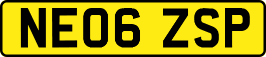 NE06ZSP