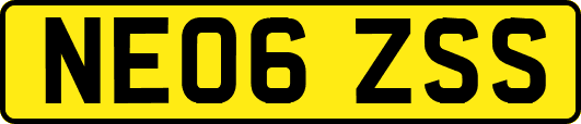 NE06ZSS