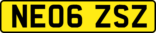 NE06ZSZ