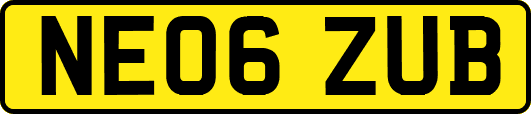 NE06ZUB