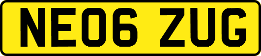 NE06ZUG