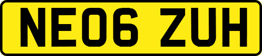 NE06ZUH