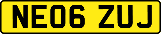 NE06ZUJ