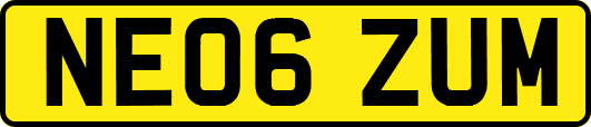 NE06ZUM