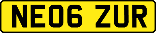 NE06ZUR