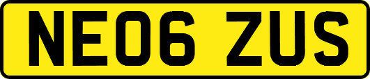 NE06ZUS
