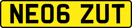 NE06ZUT
