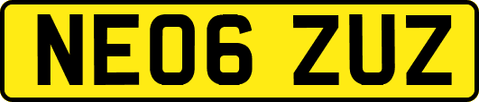 NE06ZUZ