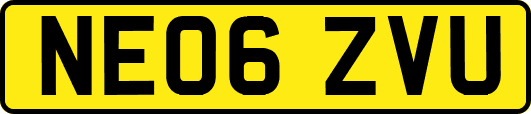 NE06ZVU