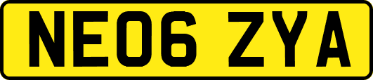 NE06ZYA