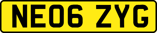 NE06ZYG