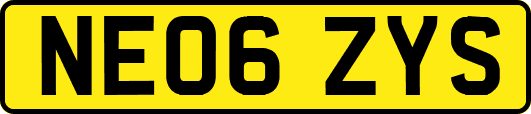 NE06ZYS