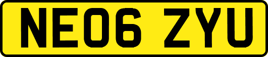 NE06ZYU