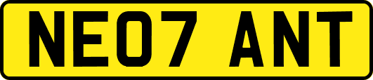 NE07ANT