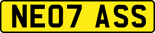 NE07ASS