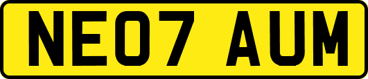 NE07AUM