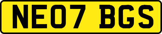 NE07BGS