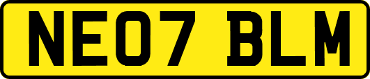 NE07BLM