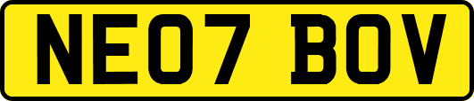 NE07BOV