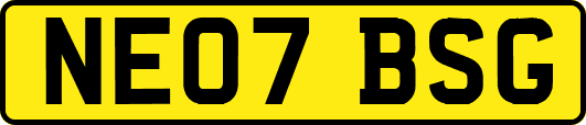 NE07BSG