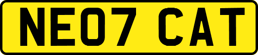 NE07CAT