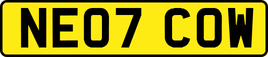 NE07COW
