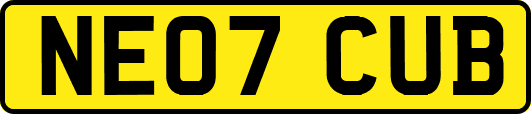 NE07CUB