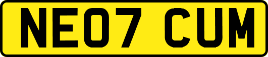 NE07CUM