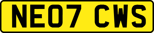 NE07CWS